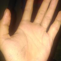 share-tentang-pengetahuan-keilmuan-garis-tangan---palmistry