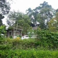 selama-di-tawangmangu-sby-dan-keluarga-menyempatkan-melancong