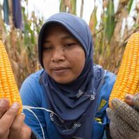 mentan-apresiasi-kerjasama-japfa-vasham-guna-penuhi-stok-jagung