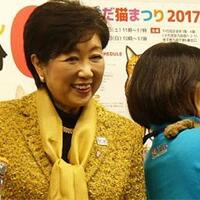 gubernur-tokyo-ingin-2019-tidak-ada-lagi-pembunuhan-anjing-dan-kucing