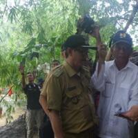 ahok-menolak-diajak-naik-perahu-karet-saat-meninjau-banjir-di-cipinang-melayu