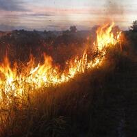 prediksi-cuaca-provinsi-riau-hari-ini-menurut-bmkg-pekanbaru