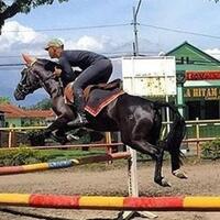 ketum-pordasi-apresiasi-equestrian-avignam-cup-24-26-februari-di-parongpong