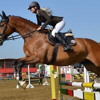 kalender-kegiatan-equestrian-2017-sangat-padat