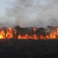 riau-mulai-memasuki-musim-kemarau-antisipasi-kebakaran-lahan-dan-hutan