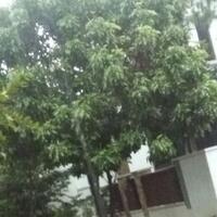 genangan-air-di-perumahan-permata-depok-surut-dalam-tempo-singkat