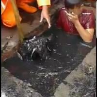 jadi-viral-pasukan-ppsu-menyelam-ke-dalam-selokan-tanpa-pengaman