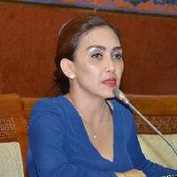 pansus-pelindo-ii-temukan-kerugian-negara-rp-36-triliun