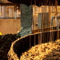 harga-saham-freeport-bisa-anjlok-hingga-12-dollar-as