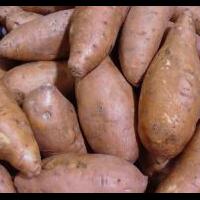 turunkan-berat-badan-dengan-umbi-gembili-dari-tanah-papua