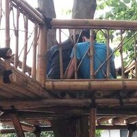 sejoli-bebas-bermesraan-di-taman-bambu-di-siang-bolong