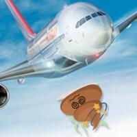 tertimpa-kotoran-manusia-dari-pesawat-wanita-ini-dilarikan-ke-rumah-sakit