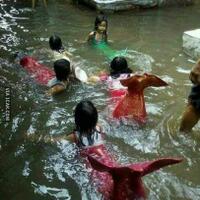 banjir-di-bekasi-eh-malah-dapet-ikan-koi