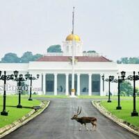 raja-arab-disambut-dentuman-meriam-21-kali-di-istana-bogor