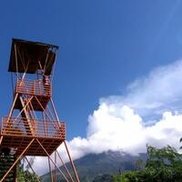 menikmati-kemegahan-merapi-dari-puncak-bukit-pronojiwo