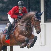 hari-kedua-avignam-cup-lancar-ferry-sutoyo-juara-kelas-130-cm