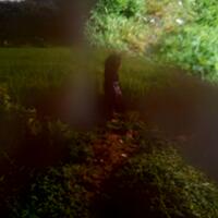 ini-penampakan-atau-bukan