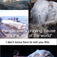 menjawab-flat-earth-101-mengungkap-kebohongan-propaganda-bumi-datar---part-1