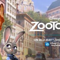 zootopia-raih-film-animasi-terbaik-di-oscar-2017
