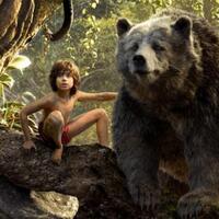 kalahkan-star-wars-the-jungle-book-menangkan-efek-visual-terbaik-di-oscar-2017