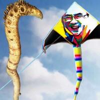 ahok-itu-pemimpin--songgo-langit