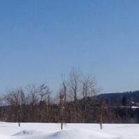 rumah-burung-setinggi-19-meter-karya-artis-spanyol-ada-di-niigata-jepang