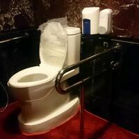 dpr-juga-siapkan-toilet-karpet-merah-untuk-raja-arab