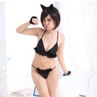 emangnya-anggora-dan-persia-aja-yang-ramah-dan-lucu