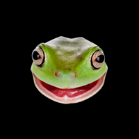 reborn-dota-2-lounge------part-9