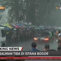 disambut-hujan-saat-ke-bogor-jadi-hiburan-rombongan-raja-salman-ini-alasannya