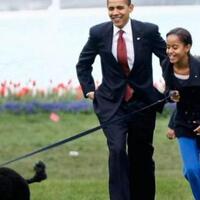 selama-130-tahun-semua-presiden-as-pelihara-anjing-kecuali-trump