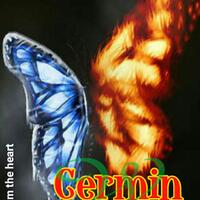 cermin