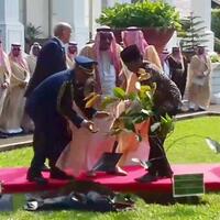 raja-salman-dan-presiden-jokowi-tanam-pohon-kayu-besi-ini-maknanya