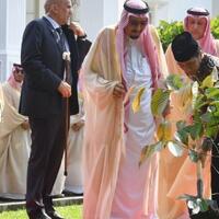 makna-pohon-ulin-yang-ditanam-raja-salman-di-halaman-istana