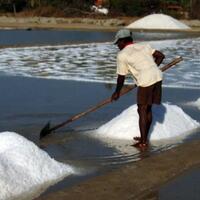 garam-impor-siap-menyerbu-pasar