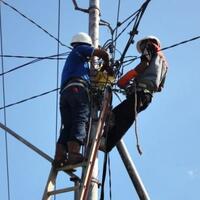 mantan-pejabat-bank-dunia-jadi-komisaris-pt-pln