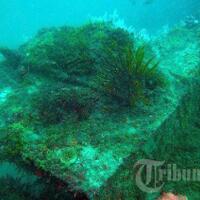 tni-al-siap-jaga-bangkai-kapal-inggris-dan-belanda