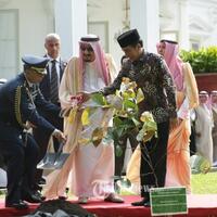 dpr-investasi-arab-saudi-di-indonesia-masih-rendah