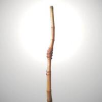 bambu-junjung-derajat-tulungagung-ini-dimaharkan-rp-3-juta