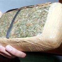 15694-gram-ganja-gagal-beredar-di-kota-bogor