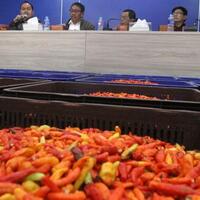 kppu-ada-indikasi-praktik-kartel-perdagangan-cabai