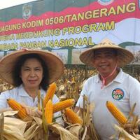 indonesia-malaysia-sepakat-tanam-jagung-bersama-di-entikong-dan-sarawak