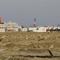 pemimpin-jakarta-harus-jaga-kepastian-investasi-properti