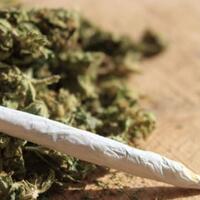 pria-ini-sembunyikan-23-paket-ganja-kering-di-celana-dalam