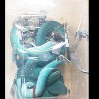 bawa-ular-di-koper-petugas-bandara-ngurah-rai-tahan-pasangan-asal-tiongkok