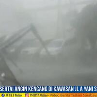 titik-pohon-tumbang-akibat-hujan-es-dan-putih-beliung-di-surbaya