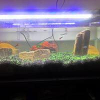 aquascape-for-everyone-learning-and-sharing---part-2