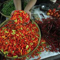 polri-yakin-masih-ada-oknum-yang-menahan-cabai