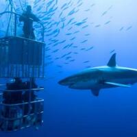 diskusi-all-about-indihome-by-telkom---part-8