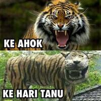 ini-isi-pembicaraan-anies-sandi-hary-tanoe-dan-ketua-pbnu